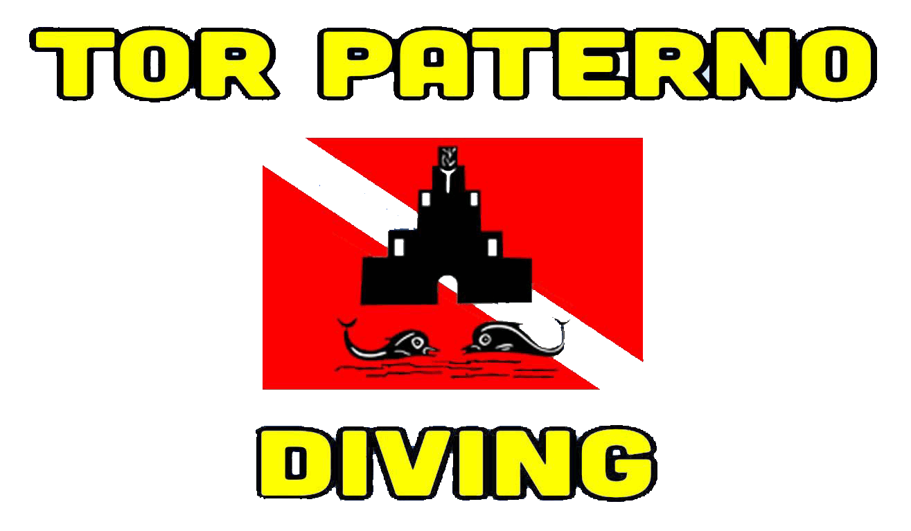 TOR PATERNO DIVING
